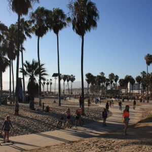 Venice Beach
